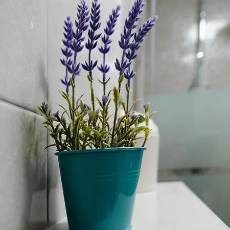 Kailani Luxury Central 3 Bedroom, 3 Bathroom Apartment With A Sunny Balcony Zadar Exterior photo